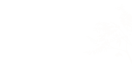 topright_accent